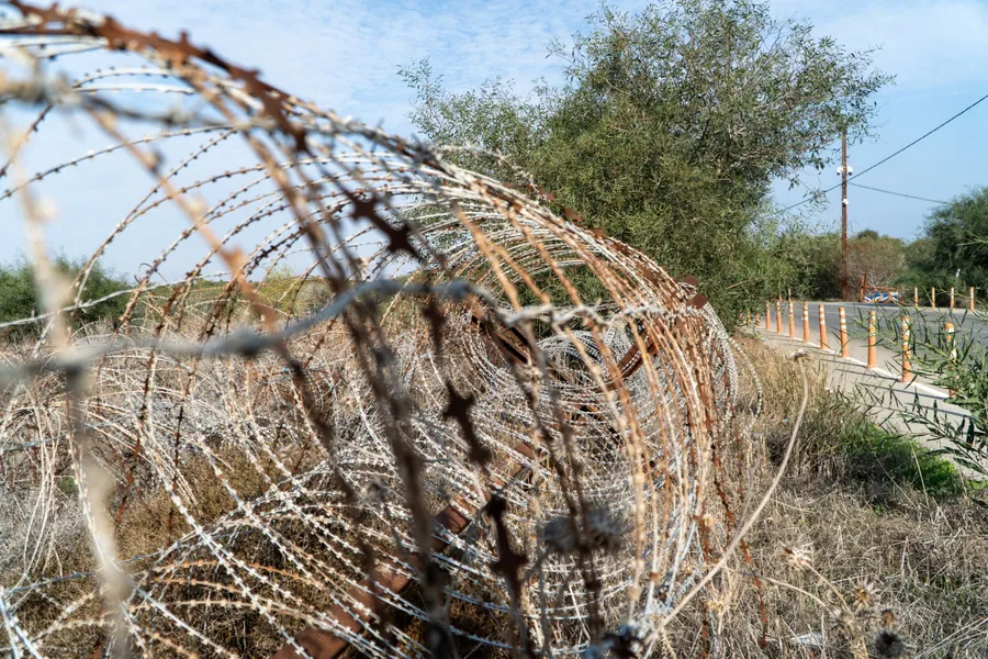 Coils of rusty barbed wire beside a road